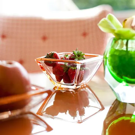 Hotel Eden Roc Marina * 阿斯科纳