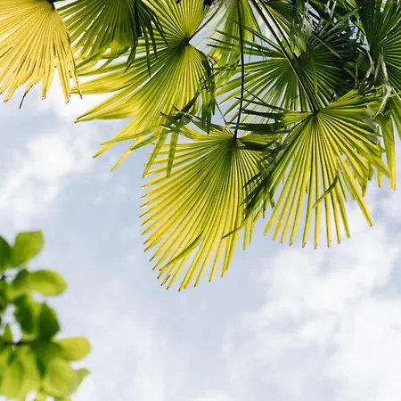 Hotel Eden Roc Marina *